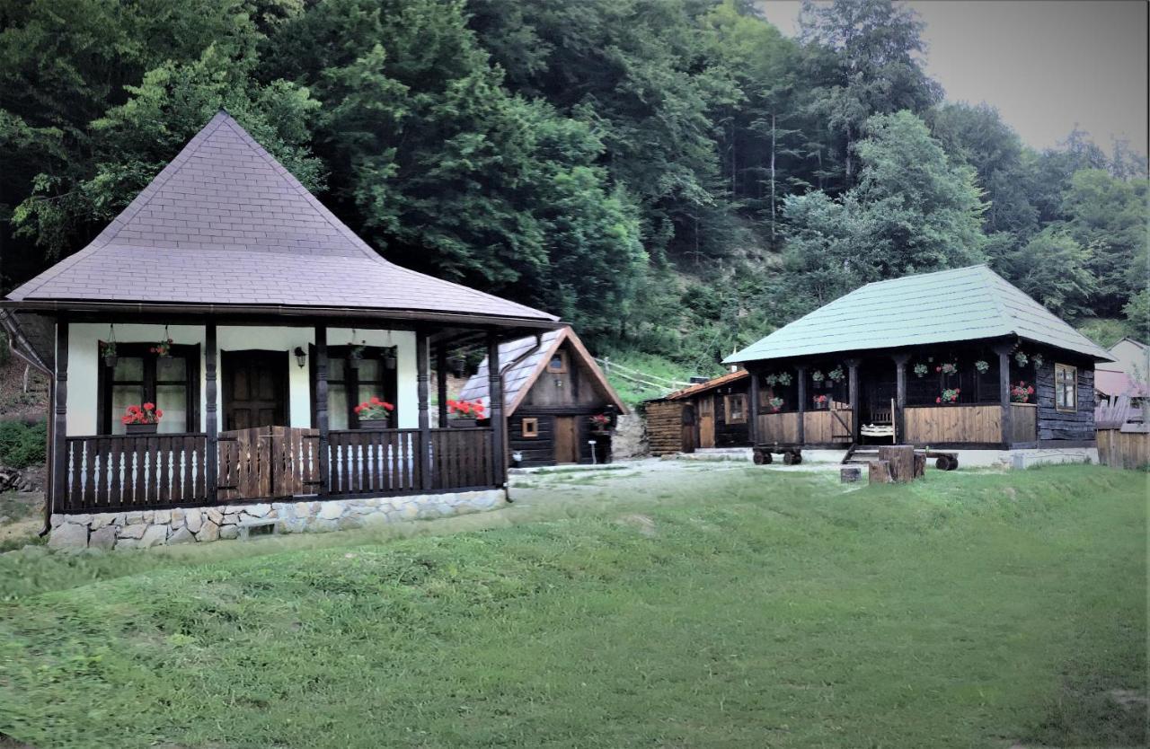 Villa Casuta Din Valea Regilor Gradistea de Munte Exterior foto