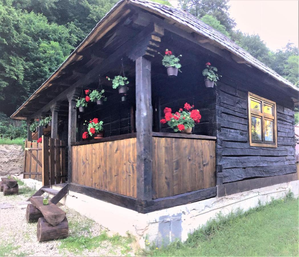 Villa Casuta Din Valea Regilor Gradistea de Munte Exterior foto