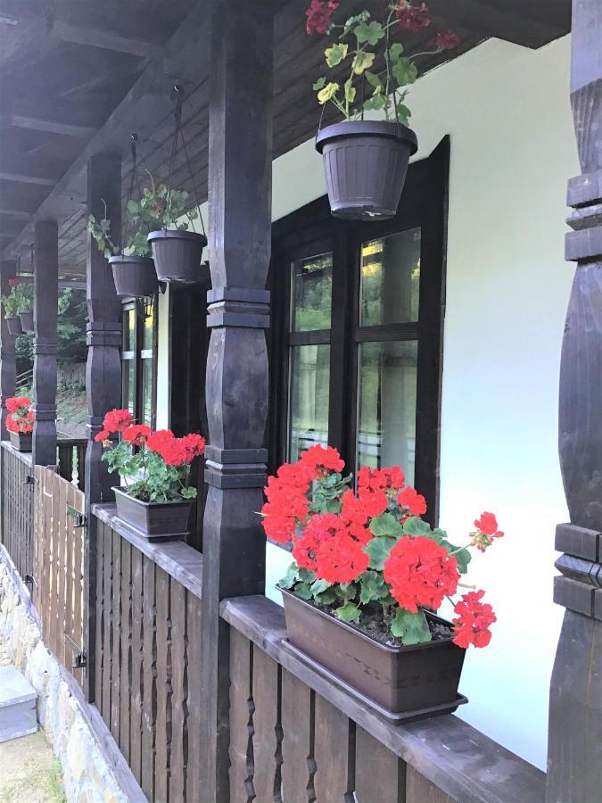 Villa Casuta Din Valea Regilor Gradistea de Munte Exterior foto