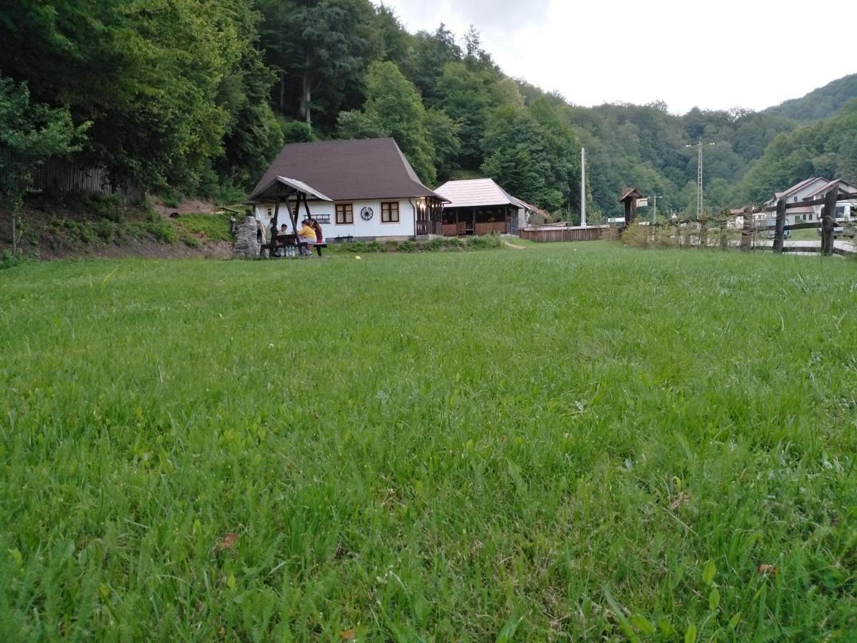 Villa Casuta Din Valea Regilor Gradistea de Munte Exterior foto