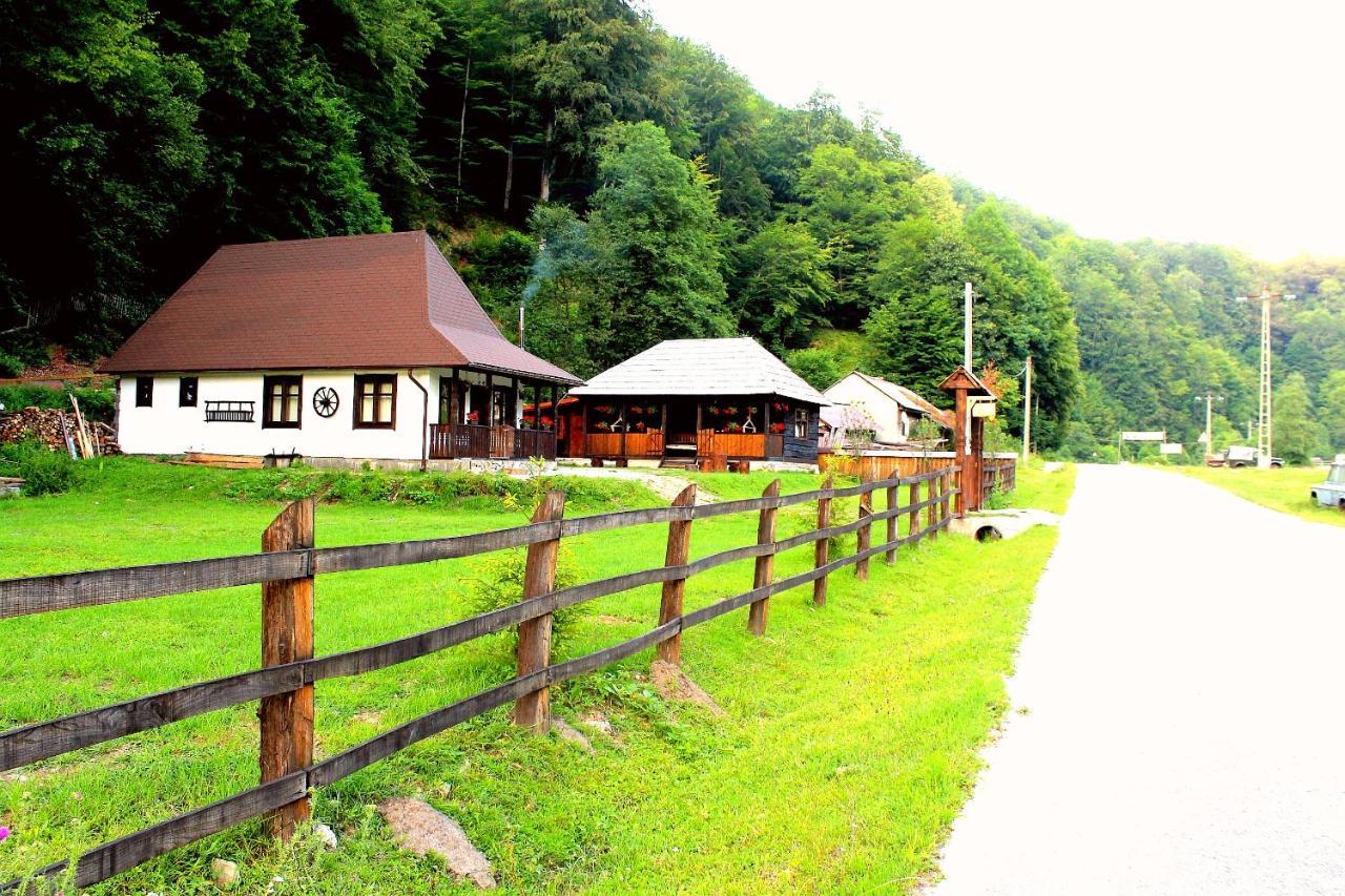 Villa Casuta Din Valea Regilor Gradistea de Munte Exterior foto