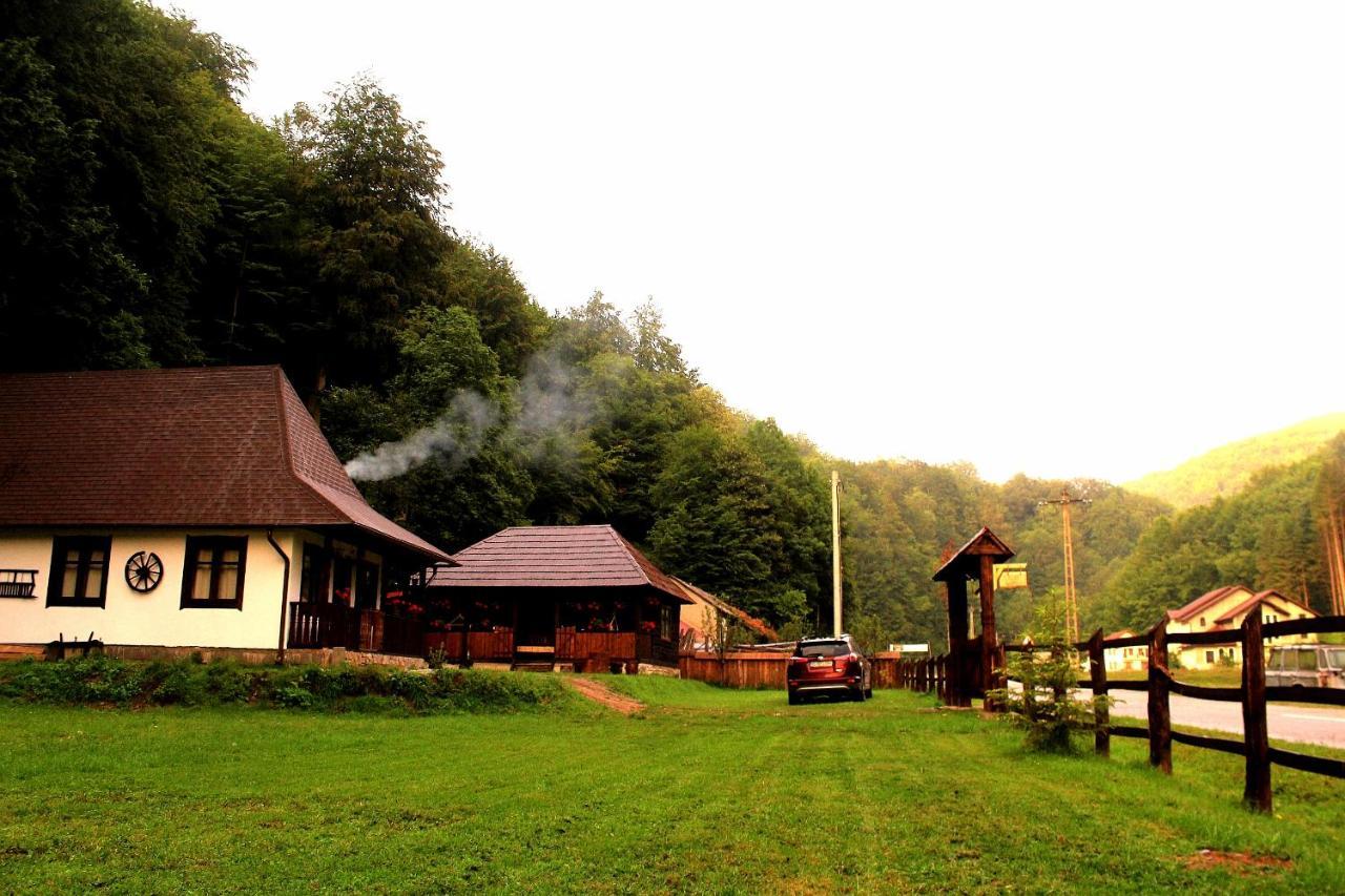 Villa Casuta Din Valea Regilor Gradistea de Munte Exterior foto