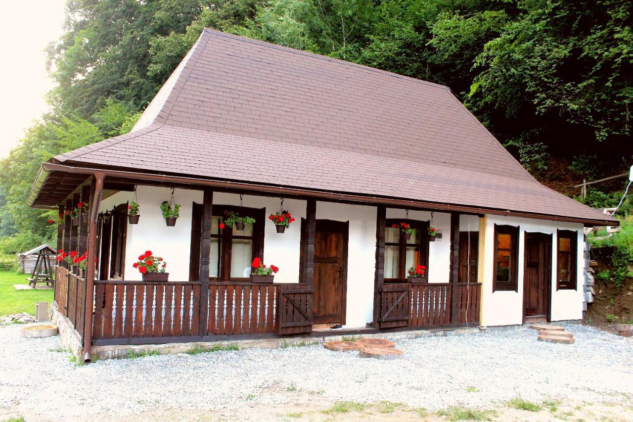 Villa Casuta Din Valea Regilor Gradistea de Munte Exterior foto