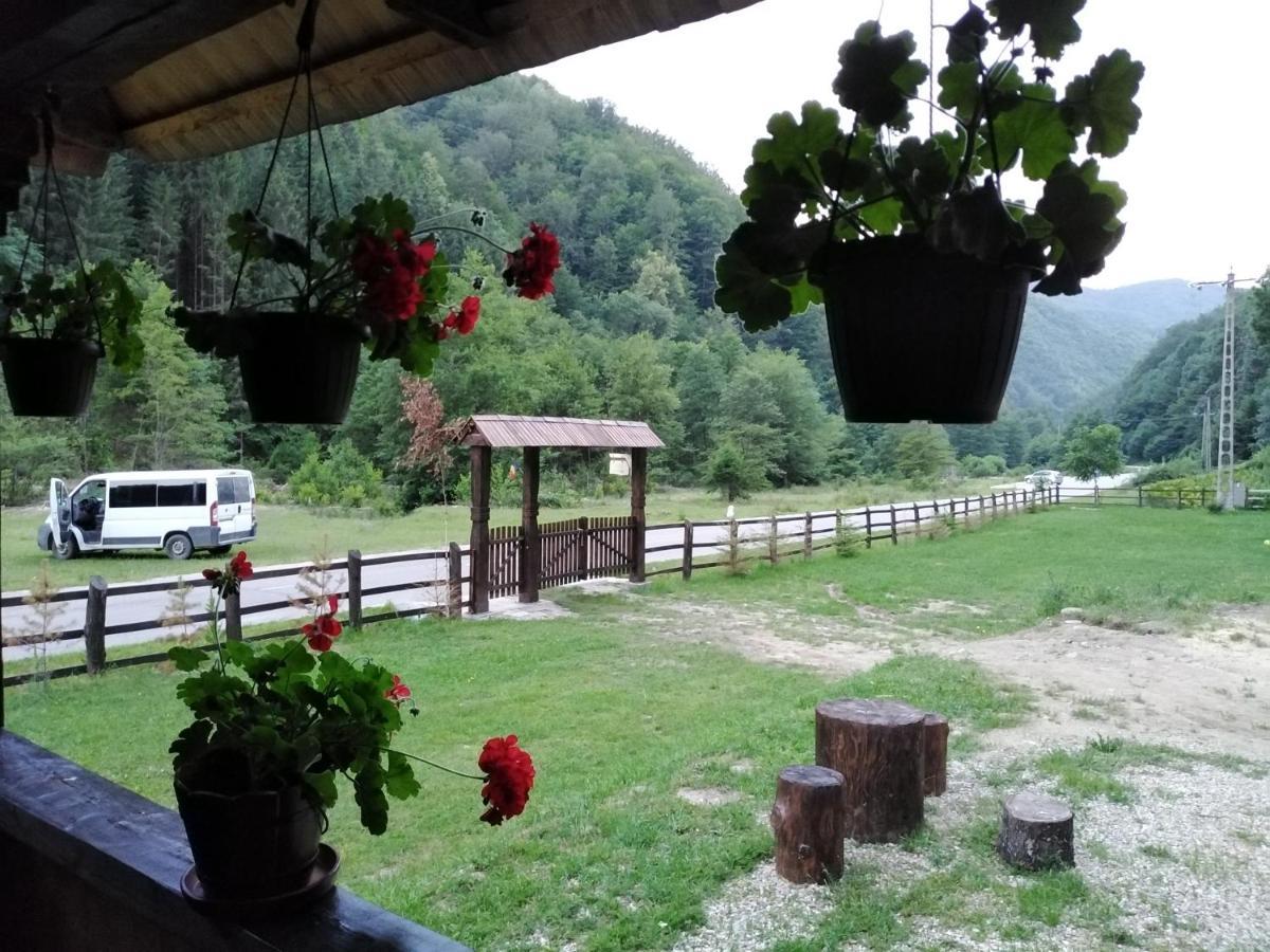 Villa Casuta Din Valea Regilor Gradistea de Munte Exterior foto