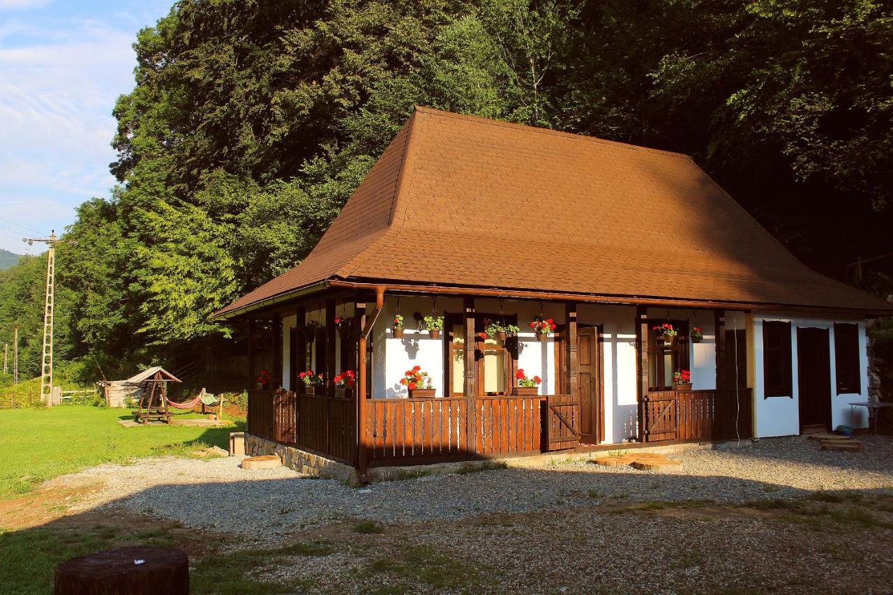 Villa Casuta Din Valea Regilor Gradistea de Munte Exterior foto