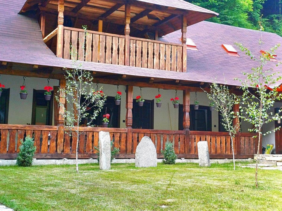 Villa Casuta Din Valea Regilor Gradistea de Munte Exterior foto