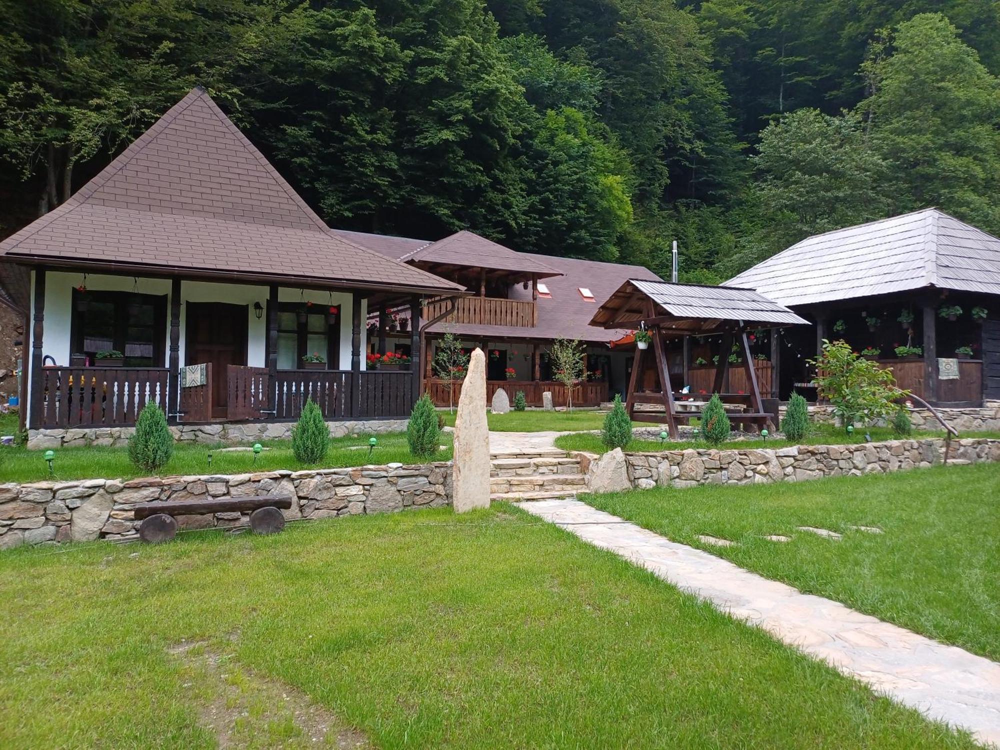 Villa Casuta Din Valea Regilor Gradistea de Munte Exterior foto